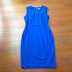 Calvin Klein scuba sheath dress size 8petite in royal blue